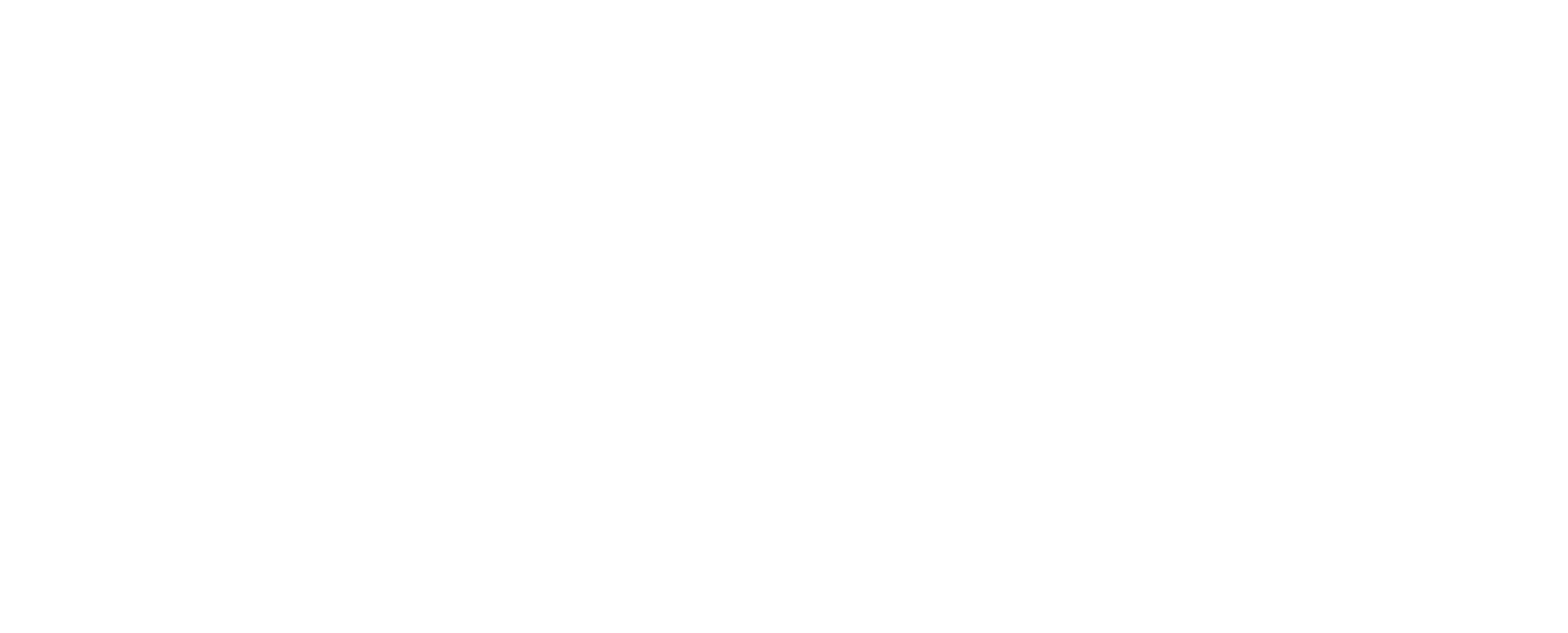 AGRONIKA Company Logo
